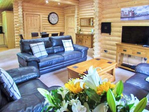TV - Hadrians Lodge - UK3478 (Felton, near Morpeth)