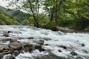 Vistas desde el alojamiento