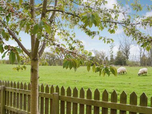 Property grounds - Cuthbert House - UK7026 (Longframlington, near Rothbury)