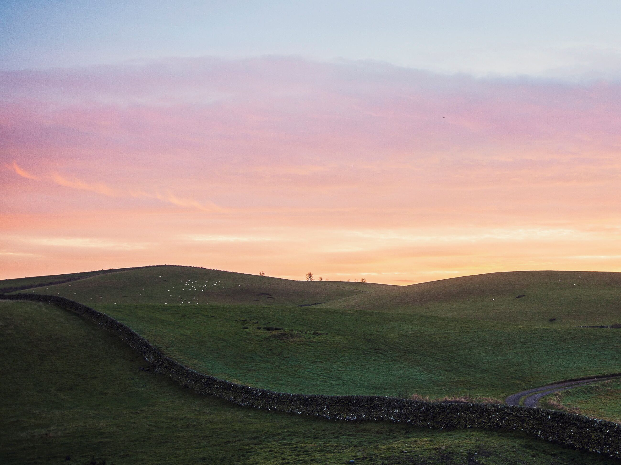 Rolling green hills with a stone wall and a winding road.