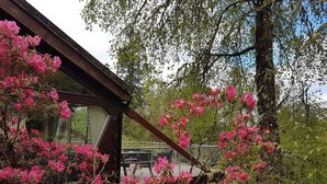 En rustik hytte med et stort vindue, omgivet af blomstrende lyserøde blomster og frodigt grønt løv.