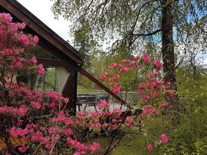 A rustic cabin with a large window, surrounded by blooming pink flowers and dense green foliage. - Cluanie Lodge - UK7256 (Spean Bridge)