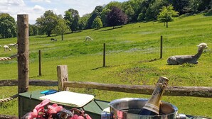 Een tafel met champagne, glazen, een notitieboekje en een bloemstuk, voor een achtergrond van een groen veld met schapen.