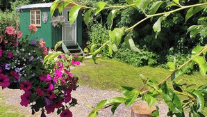Een klein, groen huis met een deur en ramen, omringd door weelderige begroeiing en bloeiende planten.