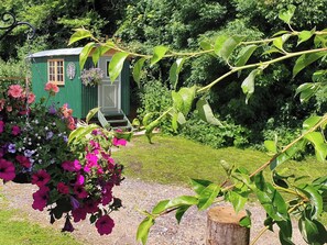 A small green house with a door and windows, surrounded by lush greenery and flowering plants. - Dorset Alpaca Shepherd's Hut (Dorchester)
