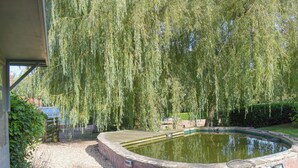A swimming pool with a wooden deck, surrounded by a brick wall and a weeping willow tree. - 3 bedroom accommodation in Portway (Portway)
