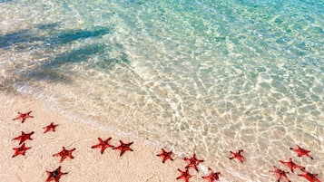 A beach with clear turquoise water and a sandy shore.