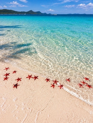 Una playa con agua turquesa cristalina y una orilla de arena.