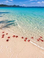 Una playa con agua turquesa cristalina y una orilla de arena.