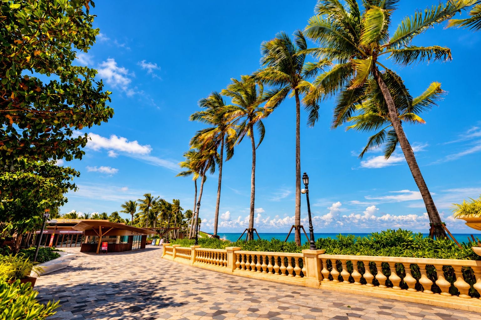 A paved walkway lined with palm trees and a building with a covered area, leading to a view of the ocean.
