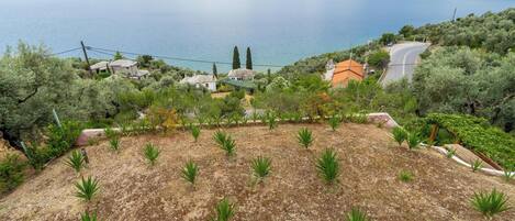 Talo, merinäköala | Terassi/patio