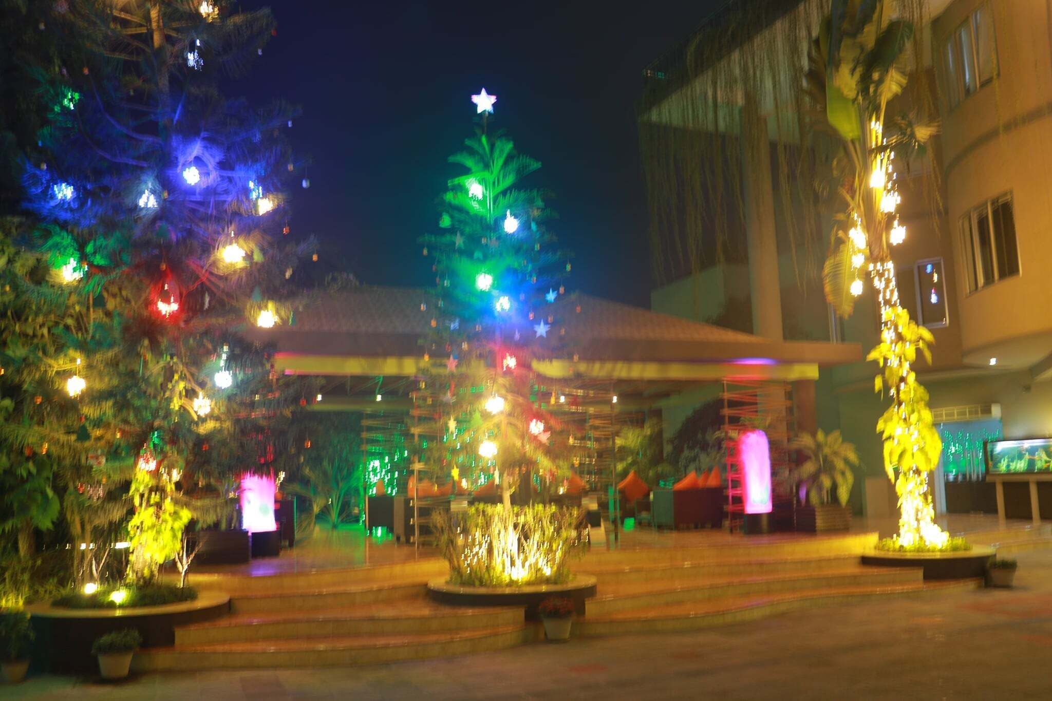 A hotel lobby with a Christmas tree, palm trees, and a building in the background.