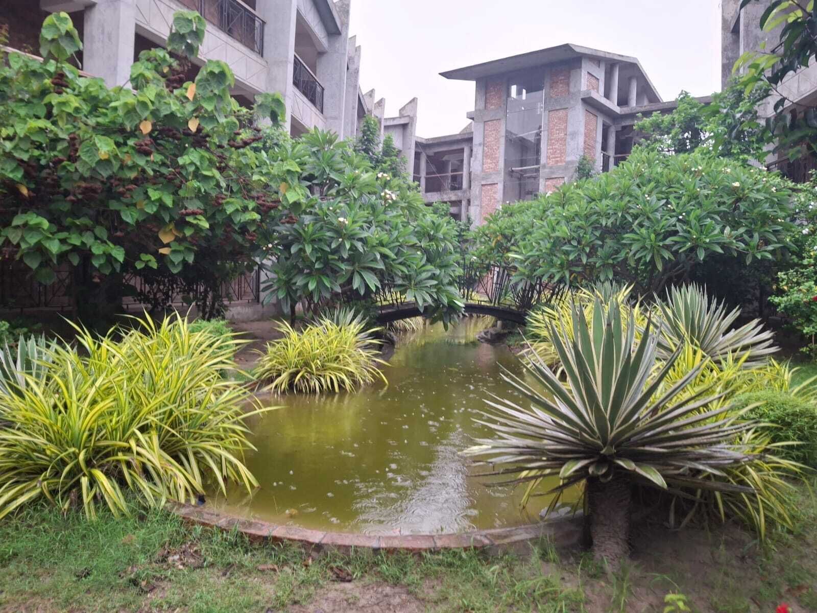 A courtyard with a small pond, surrounded by various plants and a building with multiple floors and balconies.