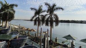 Une terrasse au bord de l’eau, agrémentée de palmiers, avec des sièges en plein air et une vue sur l’eau.