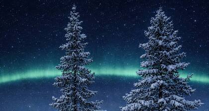 Camp Caroli Mini Lodge