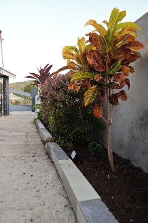 Property grounds - Gated Serenity: 5-Star Secure Studio in MoBay, 10-Min Drive to Beach! (Montego Bay)