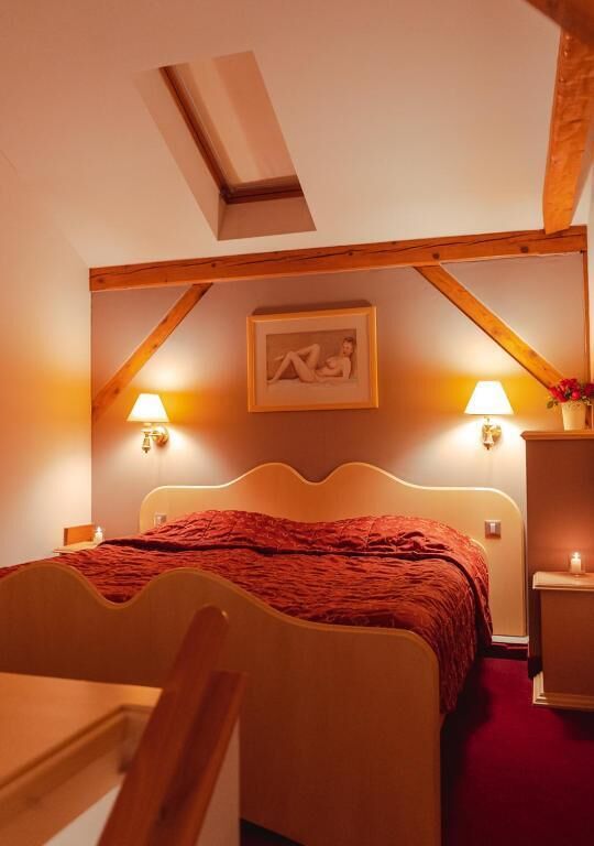 Habitación Confort doble, balcón, vistas al jardín