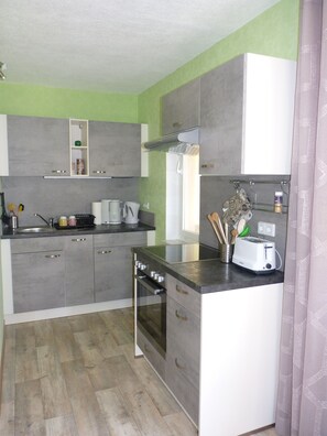 Fridge, microwave, stovetop, dishwasher - Vacation home in a quiet location near Schwarzenberg, large sunbathing lawn, child-friendly (Schwarzenberg/Erzgebirge)