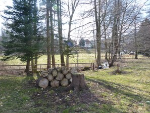Property grounds - Vacation home in a quiet location near Schwarzenberg, large sunbathing lawn, child-friendly (Schwarzenberg/Erzgebirge)