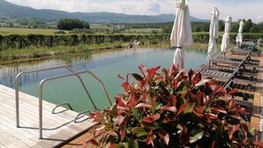 A pool area with a wooden deck, lounge chairs, and umbrellas. - Glamping Malerič with Natural Pool (Črnomelj)