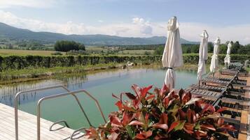 Bungalow, Patio, Garden View | Property grounds