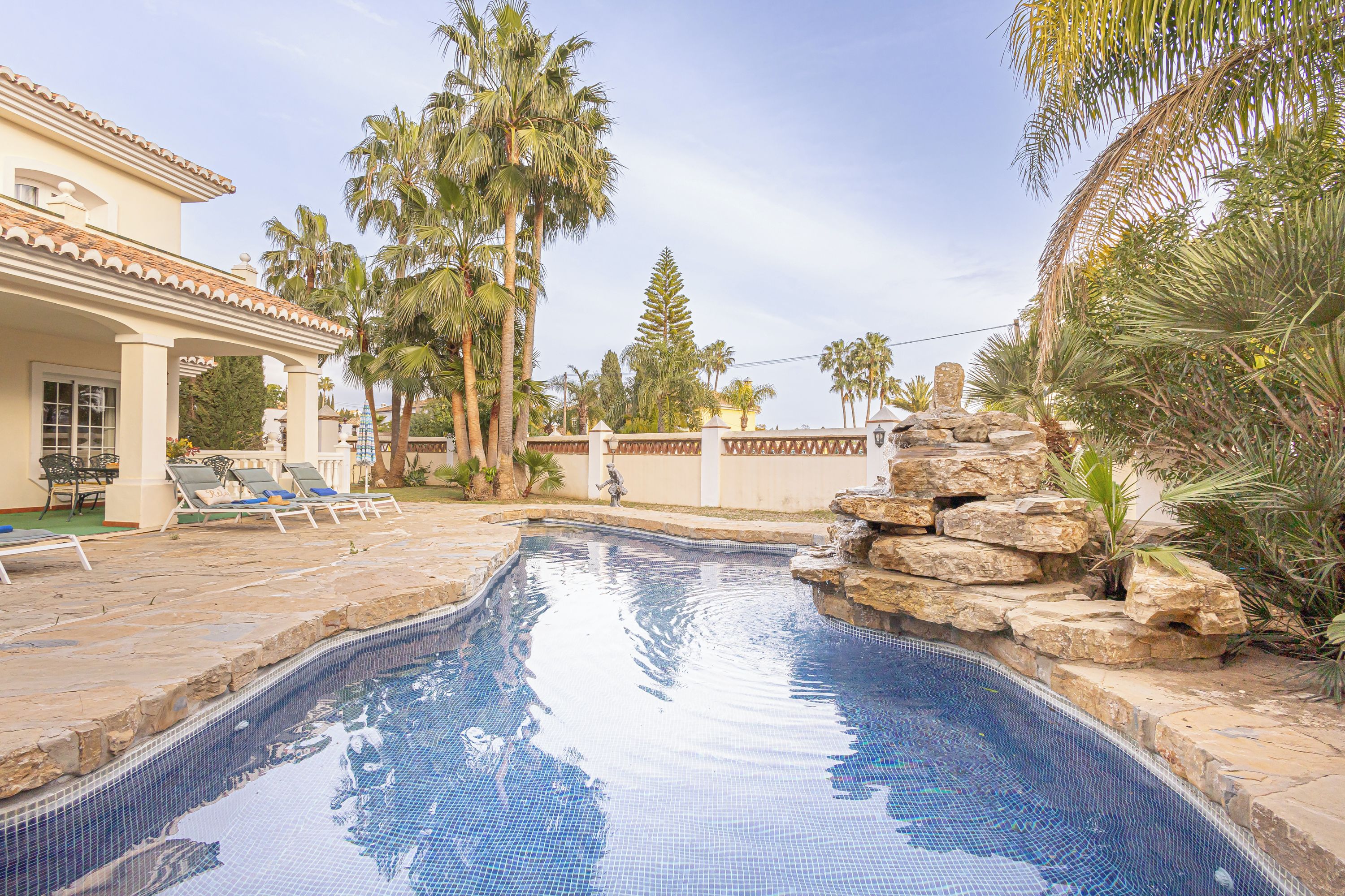 A swimming pool with a tiled edge, palm trees, and a stone wall.