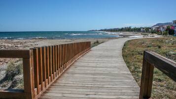 Playa en los alrededores