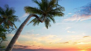 Een strandscène met palmbomen en een zonsondergang boven de oceaan.