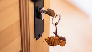 A door with a keyhole and a keychain with a padlock. - Between blossoms & mountains, welcome to the beehive (Fischen im Allgäu)