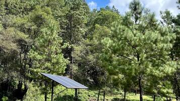 Àrea exterior de l'allotjament