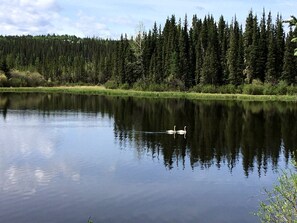 Miscellaneous - Cottage Rental with Fire Pit Perfect for Four Hidden in the Canadian Rockies of Alberta (Nordegg)