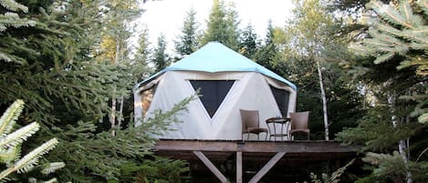 Una tienda en forma de cúpula geodésica con una plataforma y sillas, rodeada de un bosque denso.