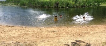 Lakefront Cabin Rental Surrounded by Nature near Renfrew, Ontario