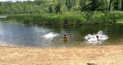 Lakefront Cabin Rental Surrounded by Nature near Renfrew, Ontario