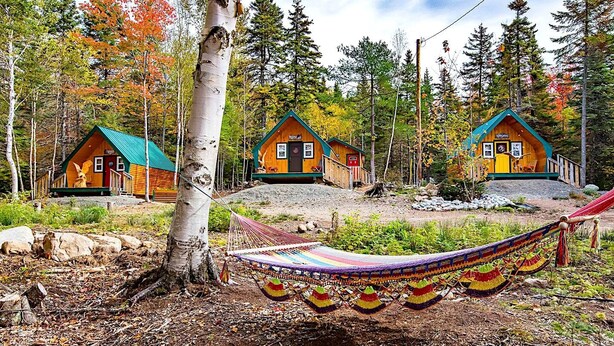 A cabin with a green roof, a wooden porch, and a small deck. - Luxurious Woodland Cabin in Nova Scotia (Baddeck)