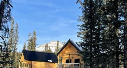 Spacious Family-Friendly Mountain Getaway near Banff, Alberta