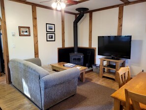 TV, fireplace, DVD player, stereo