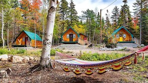 Three cabins with a hammock in the foreground. - Cardinal's Inn Cabin Rental in Nova Scotia (Baddeck)