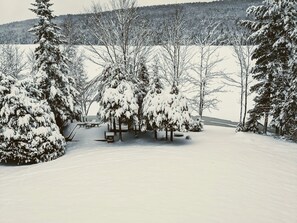 A snowy landscape with trees and a bench.