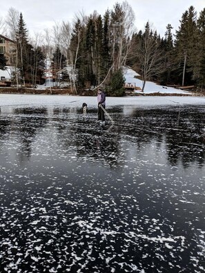 A person ice skating on a frozen lake with a dog nearby, surrounded by trees and houses.