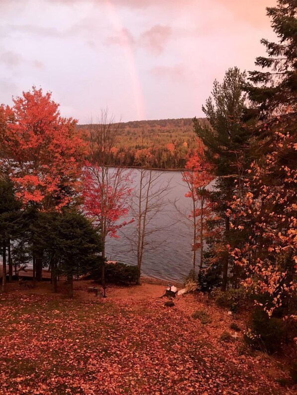 A lakeside view with trees, a bench, and a person.