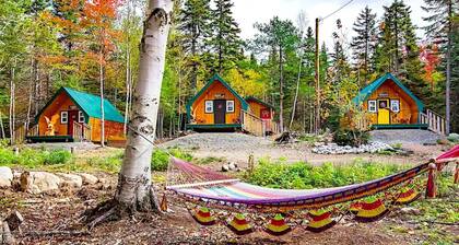 Fantastic Wood Cabin Rental for the Best Nova Scotia Glamping Trip