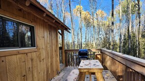A wooden cabin with a deck, a picnic table, and a grill.