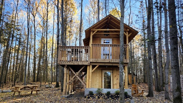 A wooden cabin with a balcony, surrounded by trees and fallen leaves.