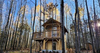Unique Tree House Perfect for Families with BBQ in Callander, Ontario