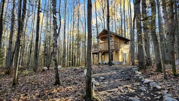 A cabin in a forest with a dirt path leading to it.