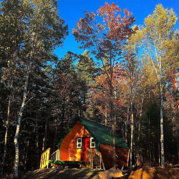A cabin with a green roof, surrounded by trees.