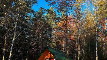 A cabin with a green roof, surrounded by trees.