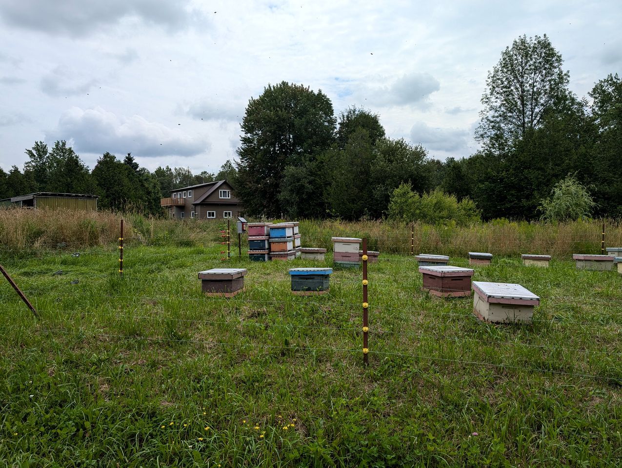 Ländliche Szenerie mit einem Haus, Bienenstöcken und einem Zaun.