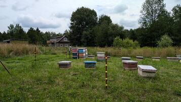A rural setting with a house, beehives, and a fence.